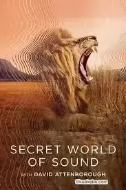 大卫·艾登堡：大自然的声音 海报