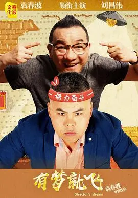 有梦就飞 海报