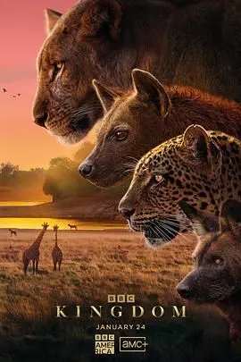 《动物王国2025》：失控的自然法则，生存还是毁灭？一场人与兽的史诗级较量